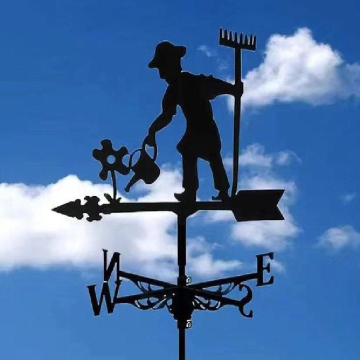 Lisslune | Stainless Steel Weather Vane!