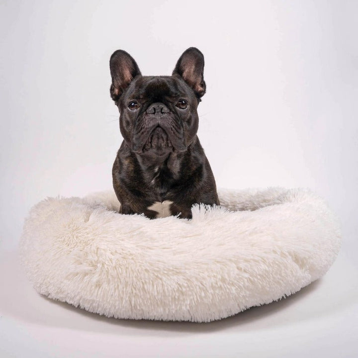 Lisslune | Beef Plush Calming Donut Dog Bed for Small to Large Dogs