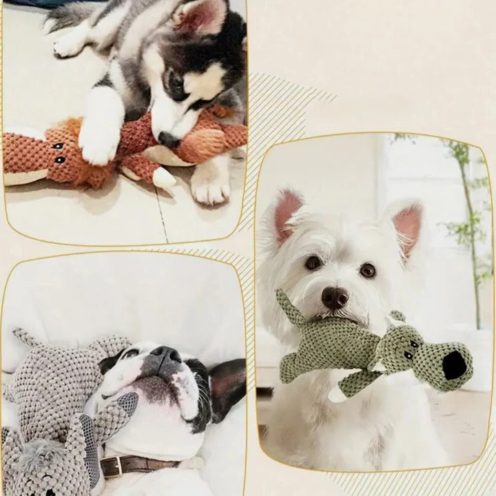 Lisslune | Durable Dog Toy For Strong Teeth