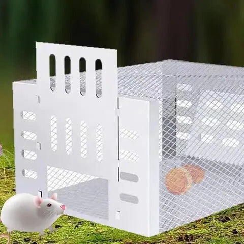 Lisslune | Self-Activating Mouse Trap