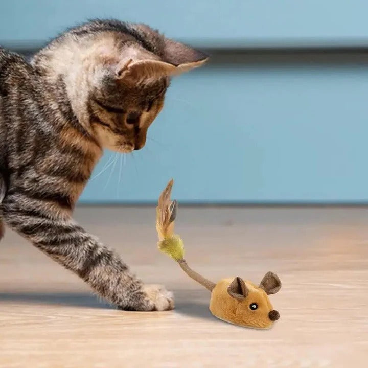 Lisslune | Intelligent Mouse Toy