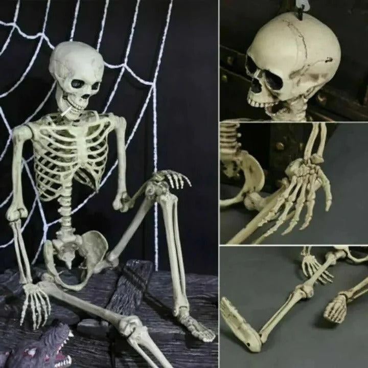 Lisslune | Creepy Poseable Skeleton for Halloween Decorations