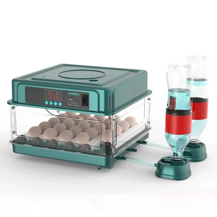 Lisslune | Digital Egg Incubator with Adjustable Tray