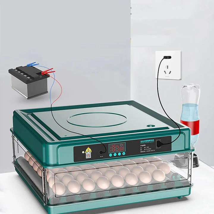 Lisslune | Digital Egg Incubator with Adjustable Tray