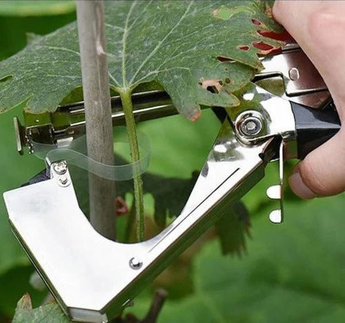 Lisslune | Plant Snapper, Plant Tying Tool