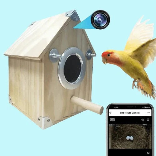 Lisslune | Bird Watching Nesting Feeder Nest