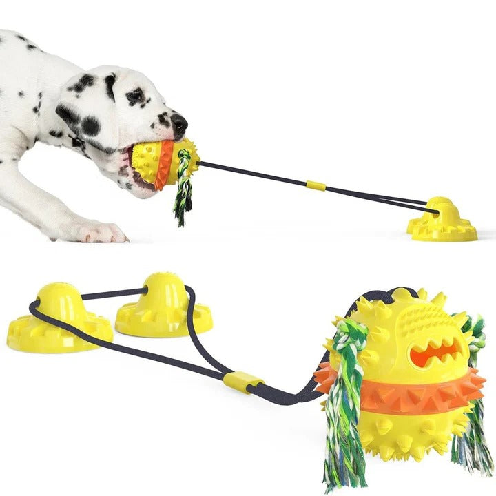 Lisslune | Interactive Self-Playing Pet Toy