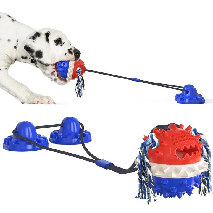 Lisslune | Interactive Self-Playing Pet Toy