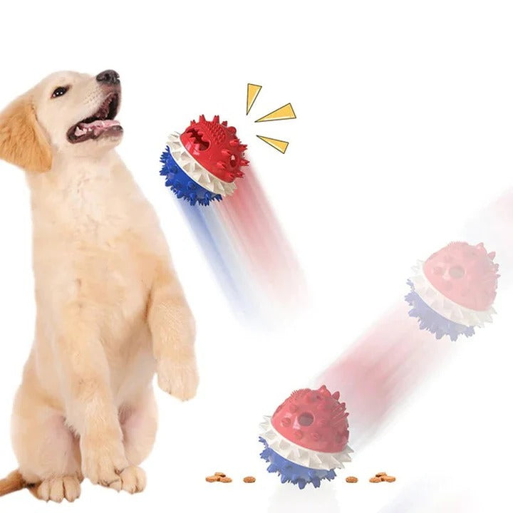 Lisslune | Interactive Self-Playing Pet Toy