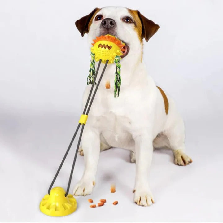 Lisslune | Interactive Self-Playing Pet Toy