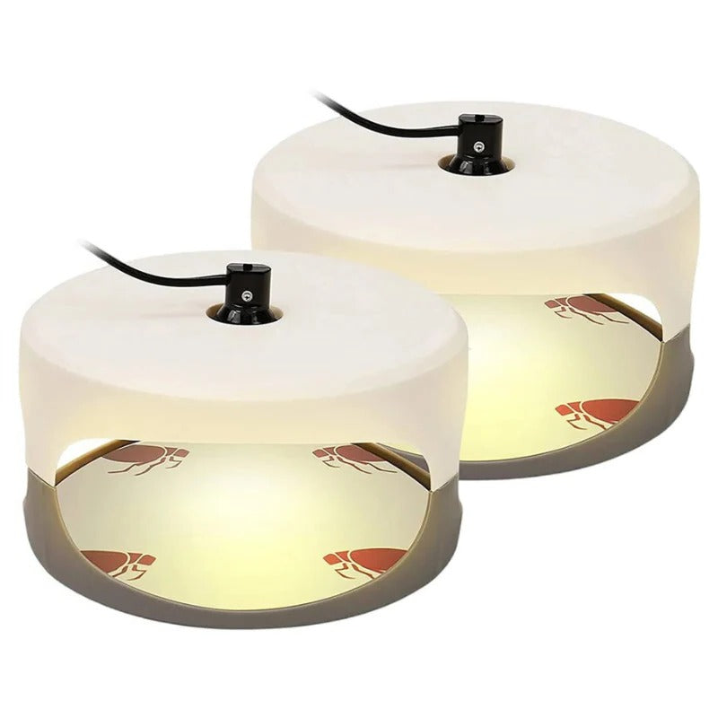 Lisslune | Indoor Bed Bug Trap and Catcher with Sticky Pads