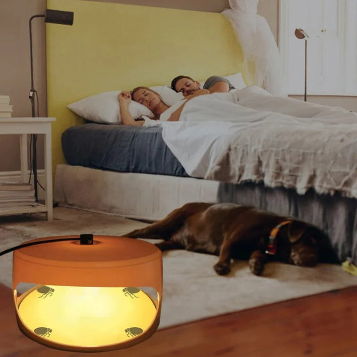 Lisslune | Indoor Bed Bug Trap and Catcher with Sticky Pads
