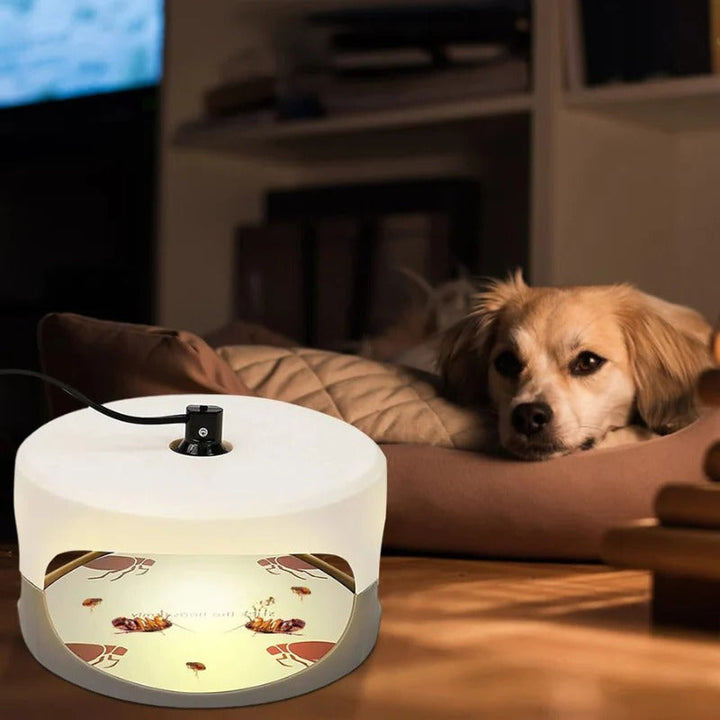 Lisslune | Indoor Bed Bug Trap and Catcher with Sticky Pads