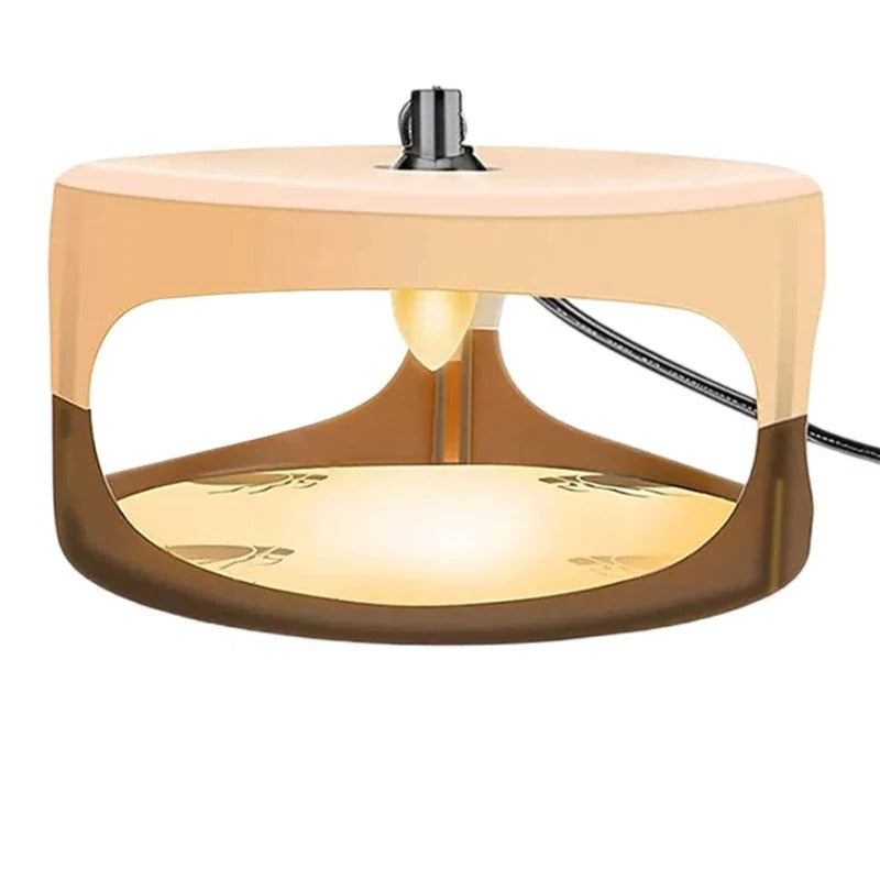 Lisslune | Indoor Bed Bug Trap and Catcher with Sticky Pads