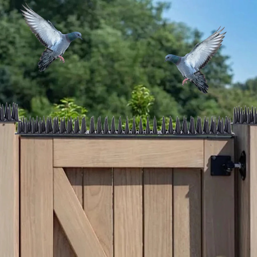 Lisslune | Plastic Bird Repeller Control Spikes
