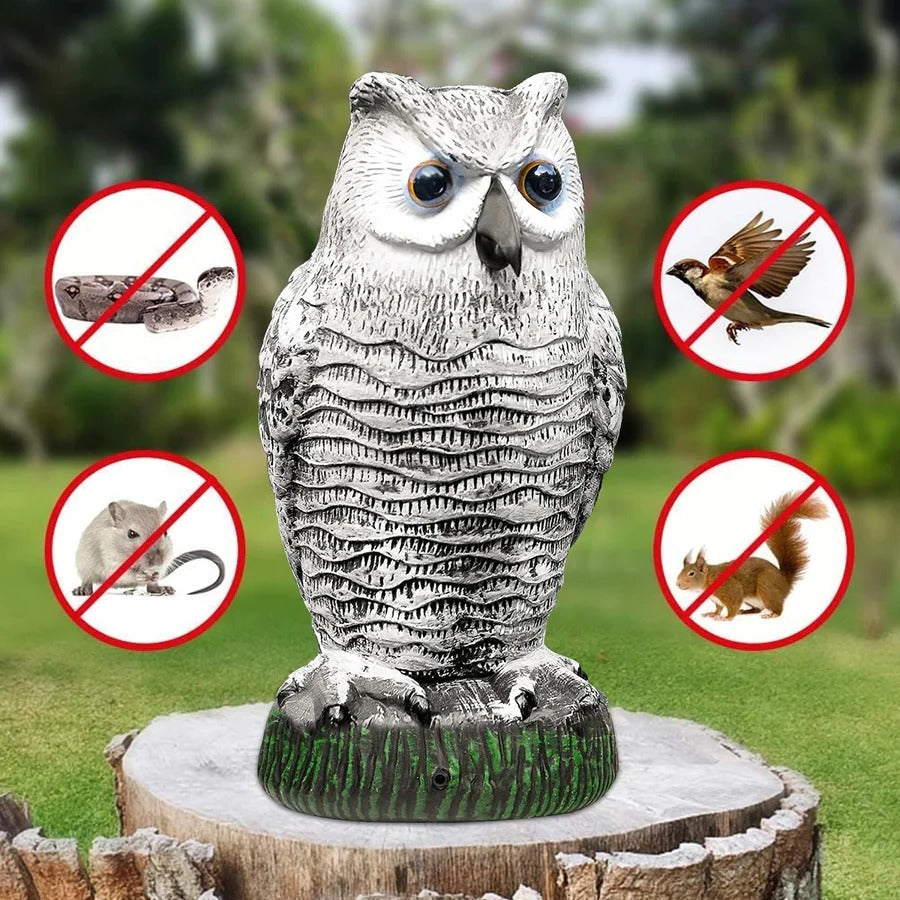 Lisslune | Realistic Owl Decoy Bird Repeller