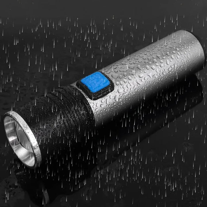 Lisslune | Handheld Blacklight UV Ultraviolet Urine Detector Flashlight