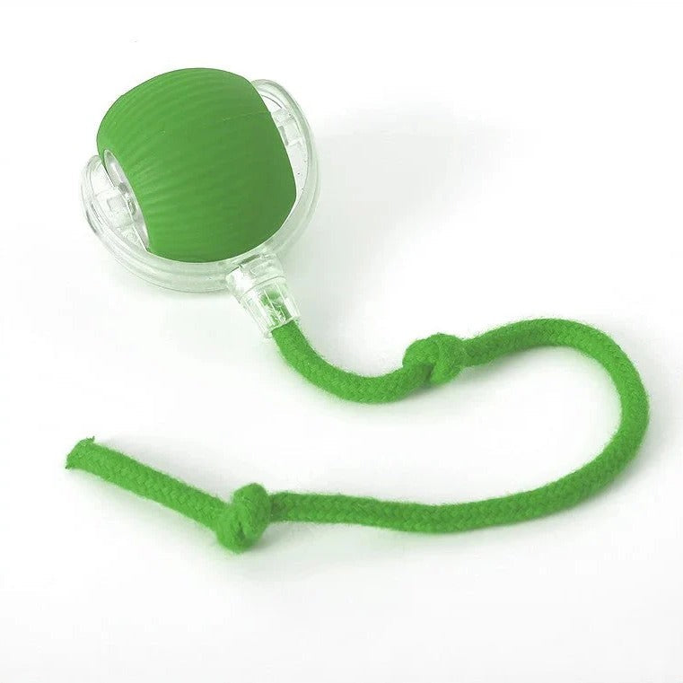 Lisslune | Active Rolling Ball with Tail for Dogs