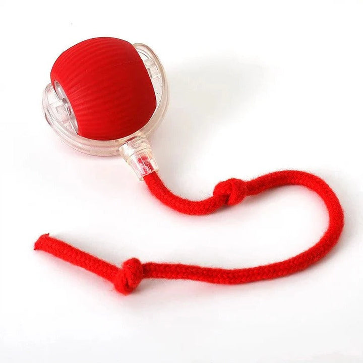 Lisslune | Active Rolling Ball with Tail for Dogs