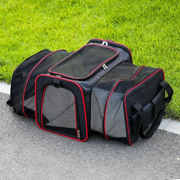 Lisslune | Foldable Pet Carrier Bag