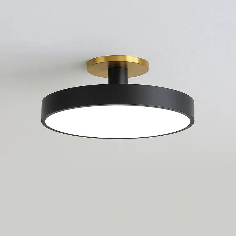 Lisslune | Modern LED Ceiling Light with Flush Mount Design for Interior Spaces