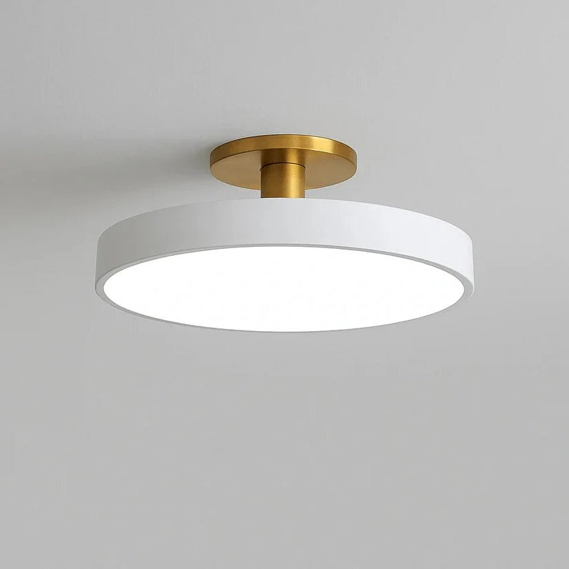 Lisslune | Modern LED Ceiling Light with Flush Mount Design for Interior Spaces