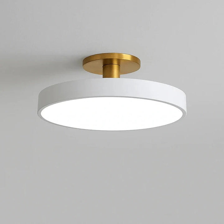 Lisslune | Modern LED Ceiling Light with Flush Mount Design for Interior Spaces