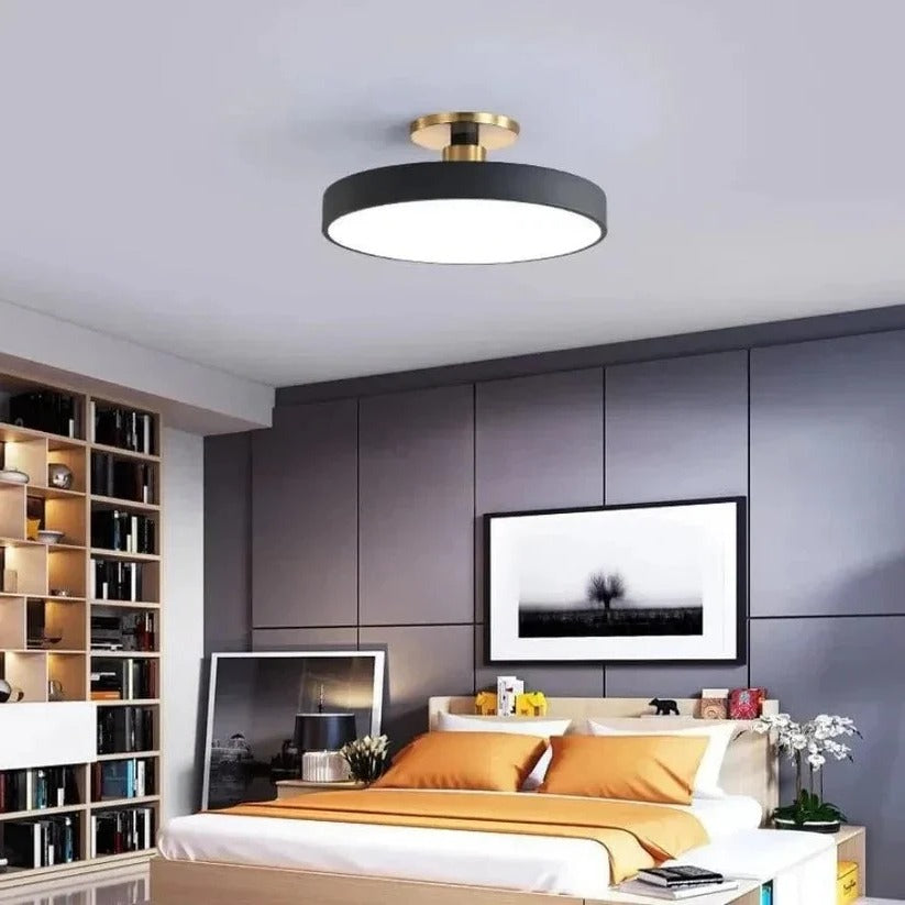 Lisslune | Modern LED Ceiling Light with Flush Mount Design for Interior Spaces