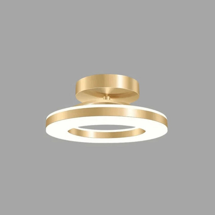 Lisslune | LED Ceiling Light Fixture