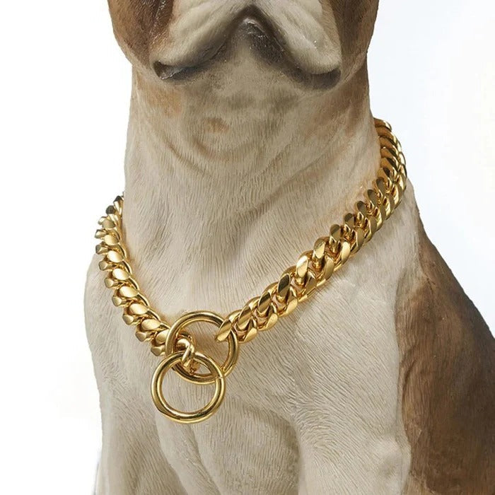 Lisslune | Heavy Duty Dog Collar