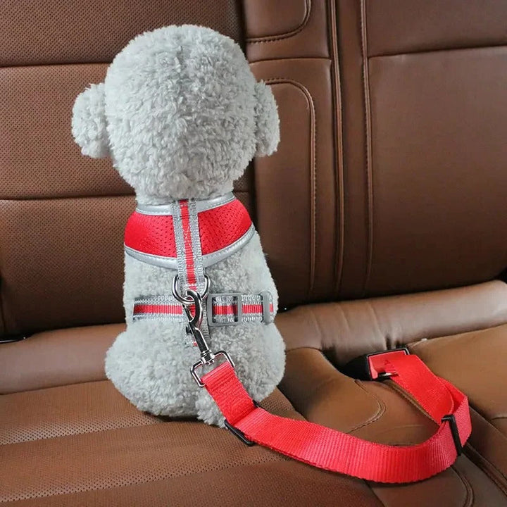 Lisslune | Adjustable Dog Seat Belt