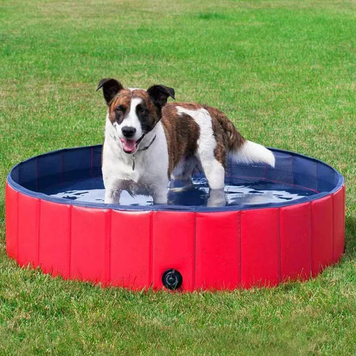 Lisslune | Foldable Dog Pool