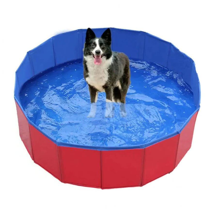 Lisslune | Foldable Dog Pool