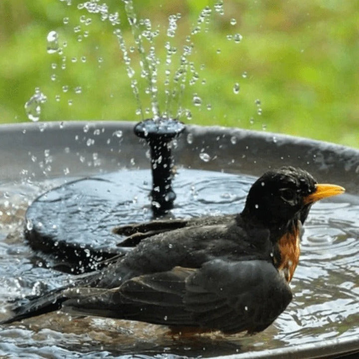 Lisslune | LED Solar Energy Fountain