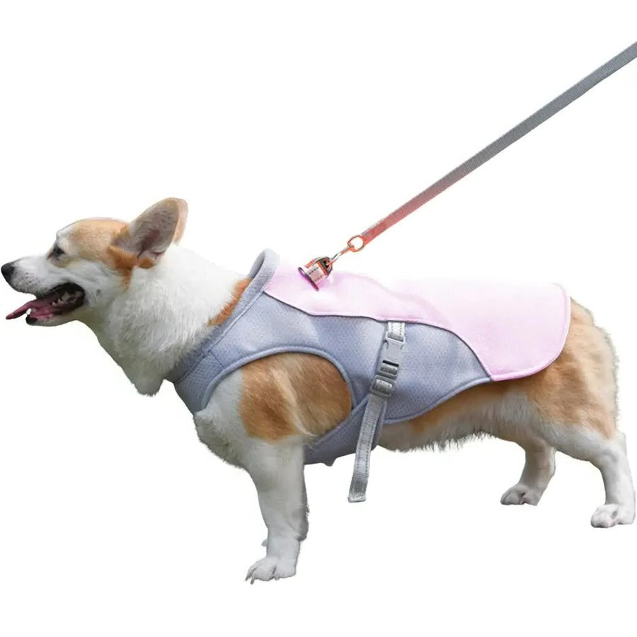 Lisslune | Dog Cooling Vest for Outdoor Activities
