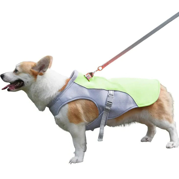 Lisslune | Dog Cooling Vest for Outdoor Activities