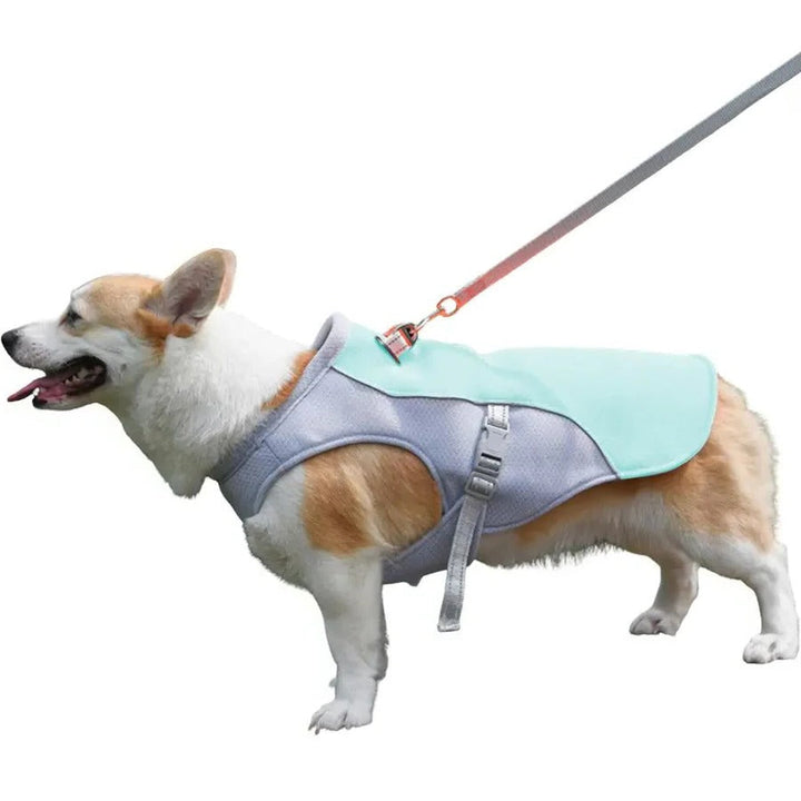 Lisslune | Dog Cooling Vest for Outdoor Activities