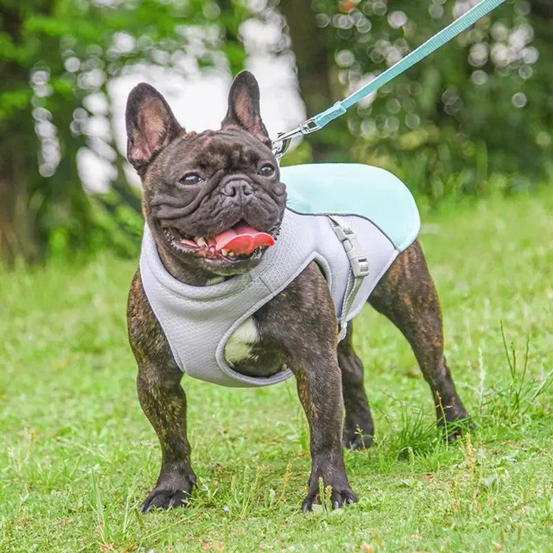 Lisslune | Dog Cooling Vest for Outdoor Activities