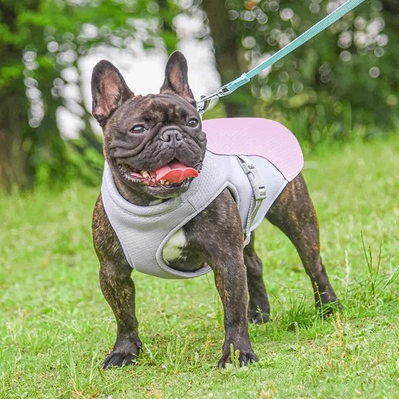 Lisslune | Dog Cooling Vest for Outdoor Activities