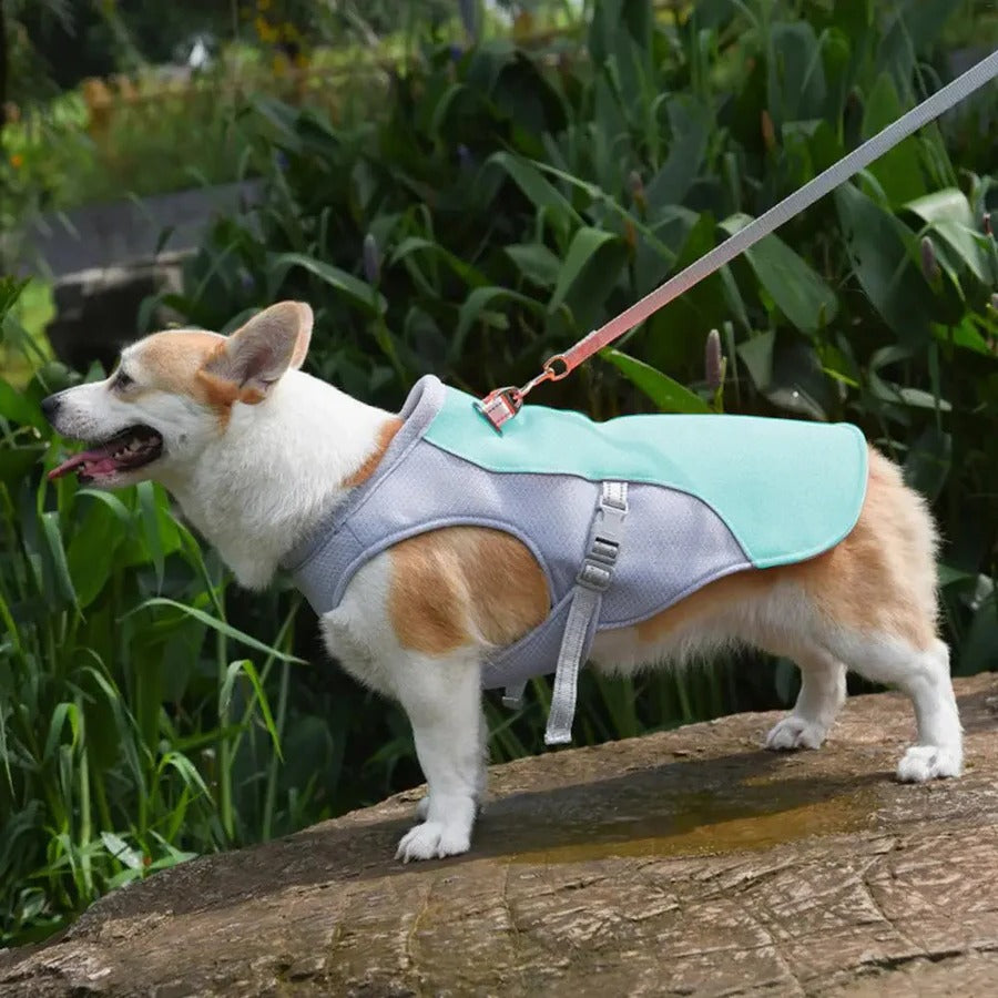 Lisslune | Dog Cooling Vest for Outdoor Activities