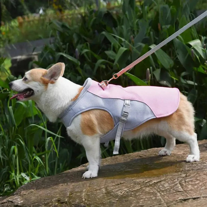 Lisslune | Dog Cooling Vest for Outdoor Activities