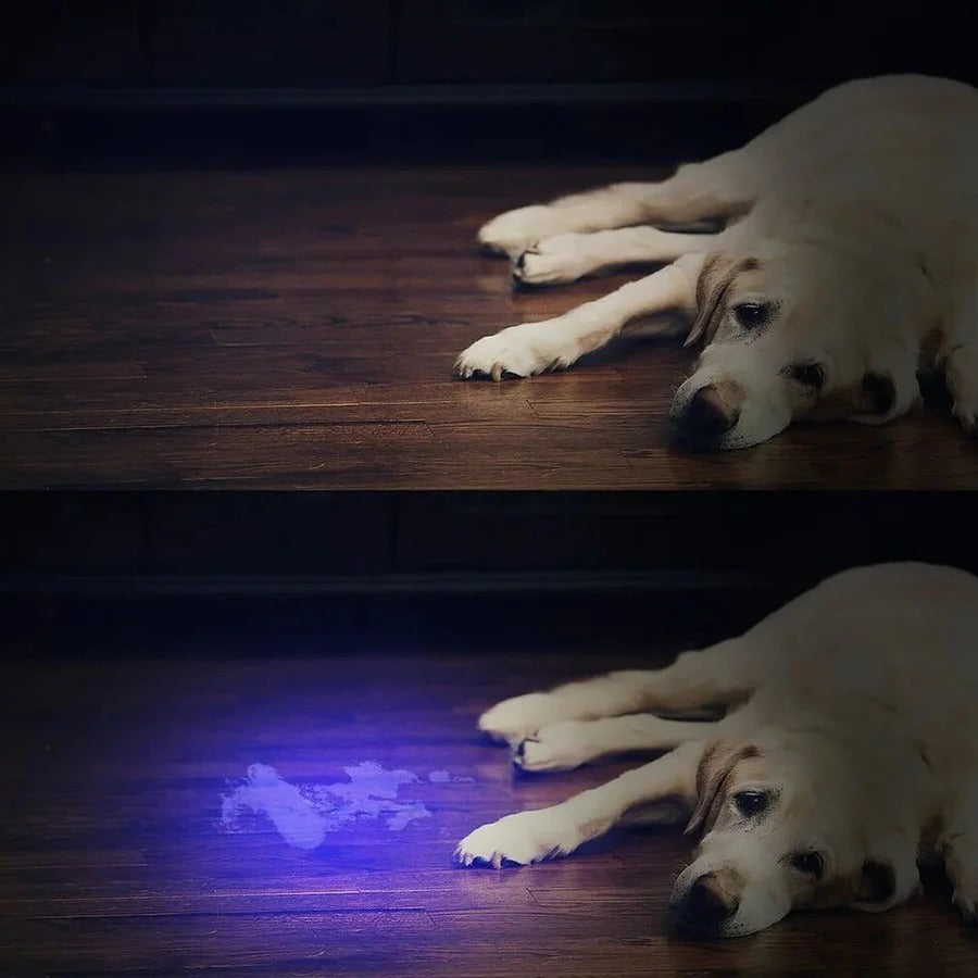 Lisslune | Compact UV Blacklight Flashlight for Inspection and Cleaning Checks