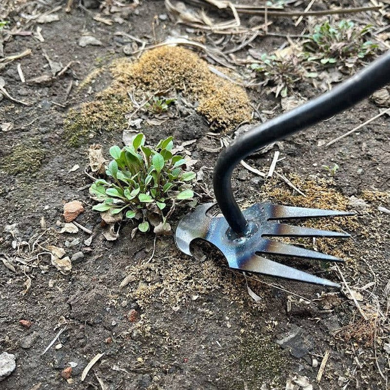 Lisslune | Weed Tool Remover