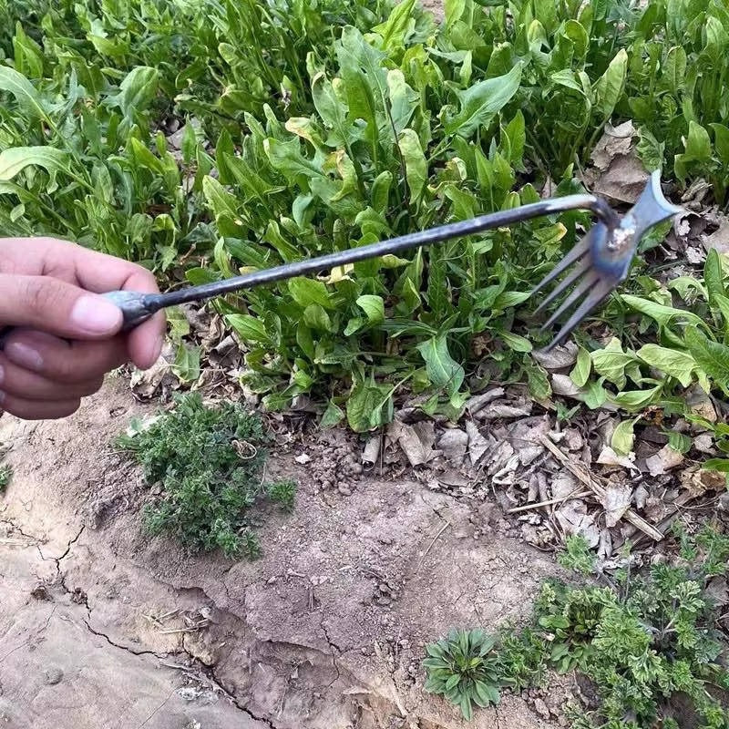 Lisslune | Weed Tool Remover