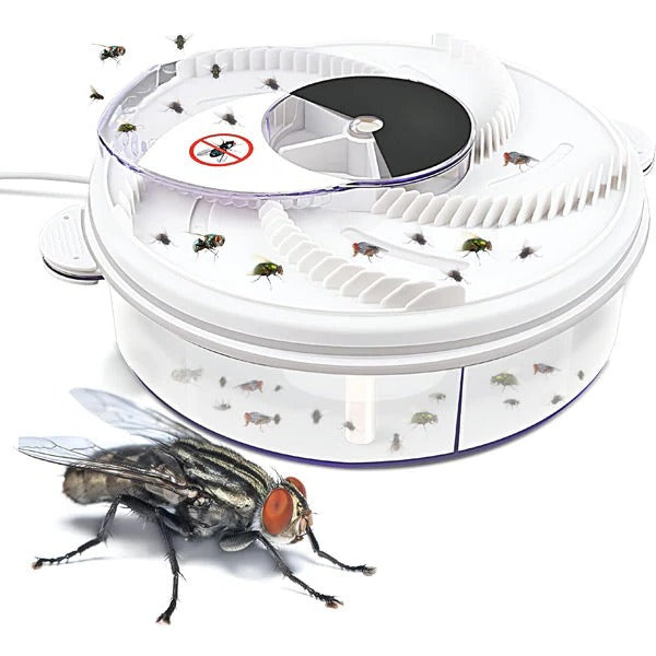 Lisslune | Highly Effective Fly Trap