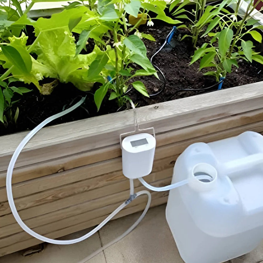Lisslune | Automatic Watering Pump Controller