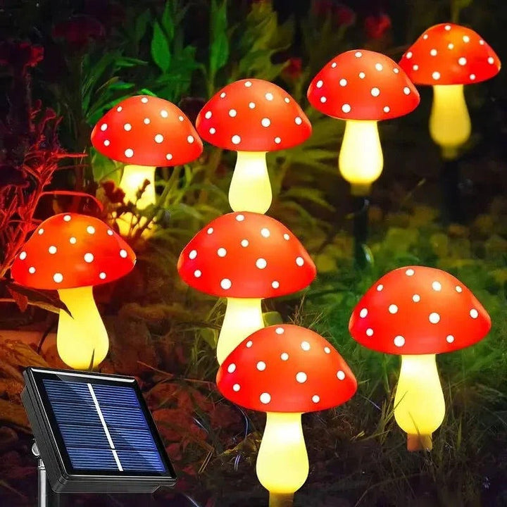 Lisslune | LED Solar Lights Outdoor Decorative