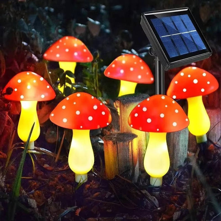 Lisslune | LED Solar Lights Outdoor Decorative