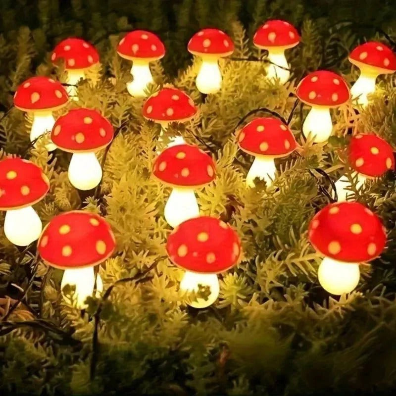Lisslune | LED Solar Lights Outdoor Decorative