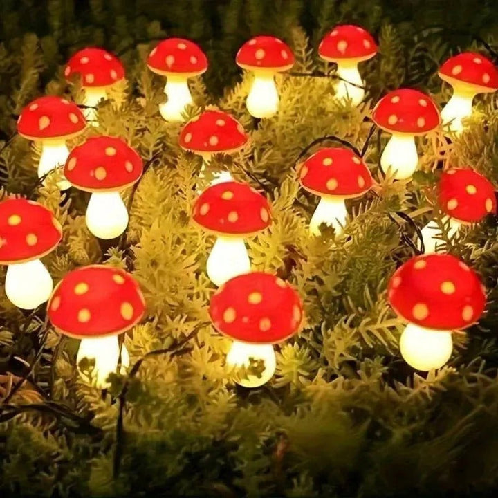 Lisslune | LED Solar Lights Outdoor Decorative